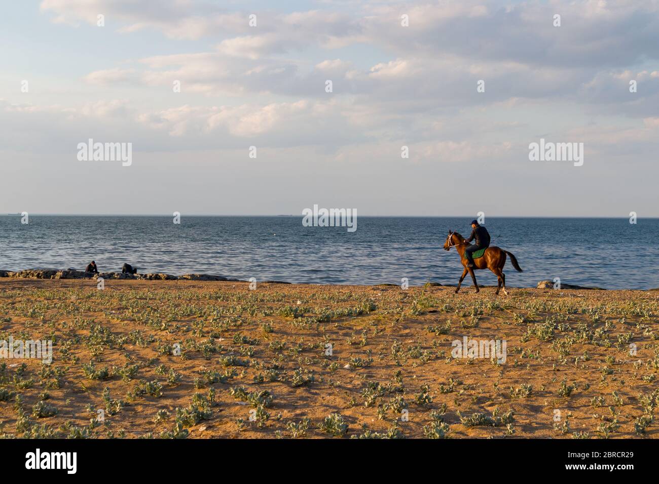 Bella corsa di cavalli sulla spiaggia con un rider sullo sfondo blu cielo. Foto Stock