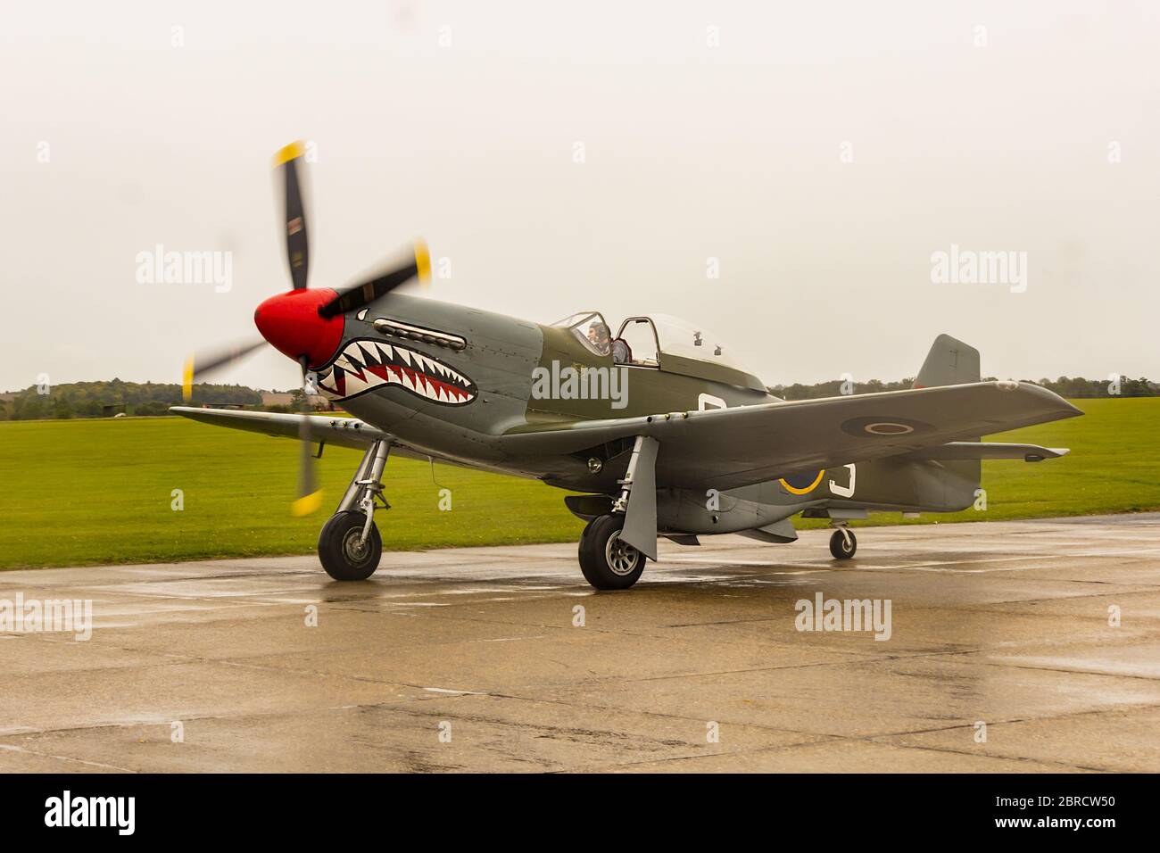 P51D Mustang Foto Stock
