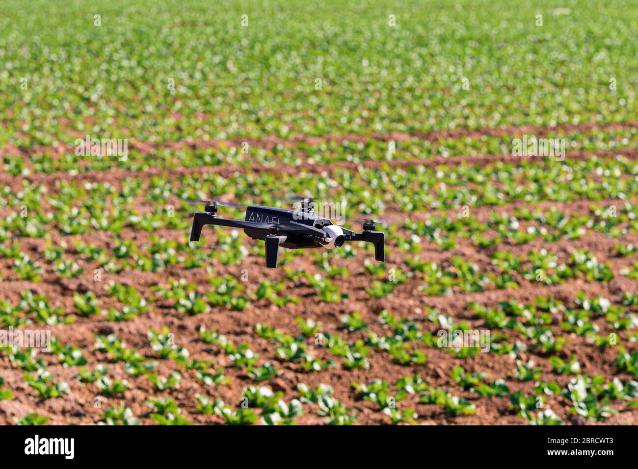 Precision agriculture drone immagini e fotografie stock ad alta risoluzione  - Alamy