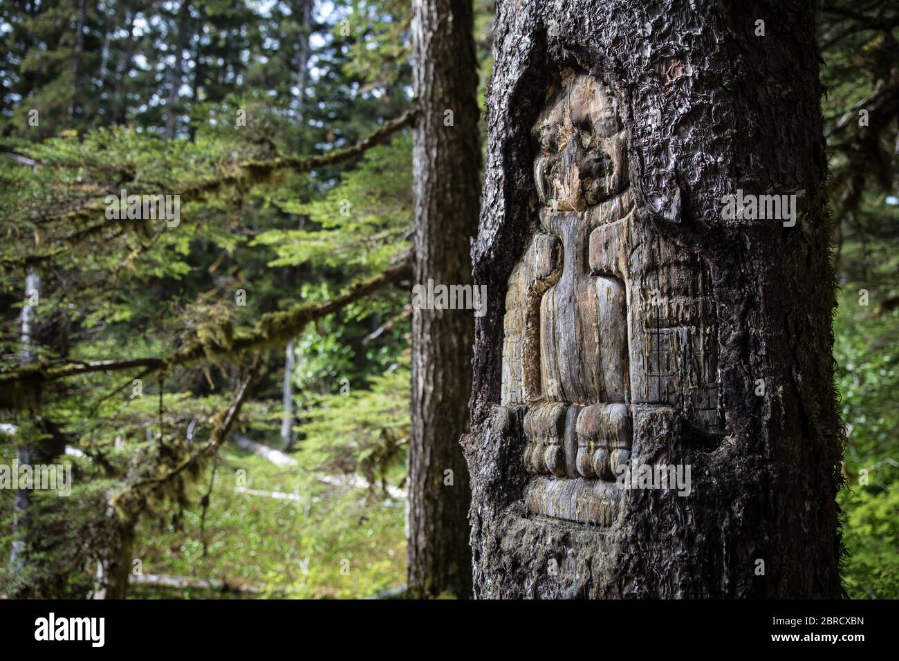 Glacier Bay National Park, Alaska, USA, che ospita una foresta panoramica con legami culturali con i nativi americani Huna Tlingit come questo marcatore di aquile Foto Stock