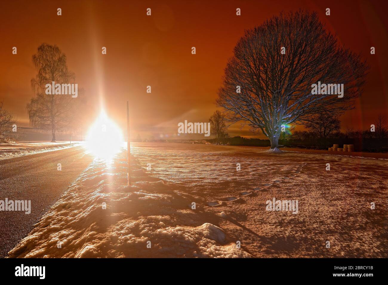 La luce dell'automobile si illumina sulla strada, l'albero nella neve di notte, Germania Foto Stock