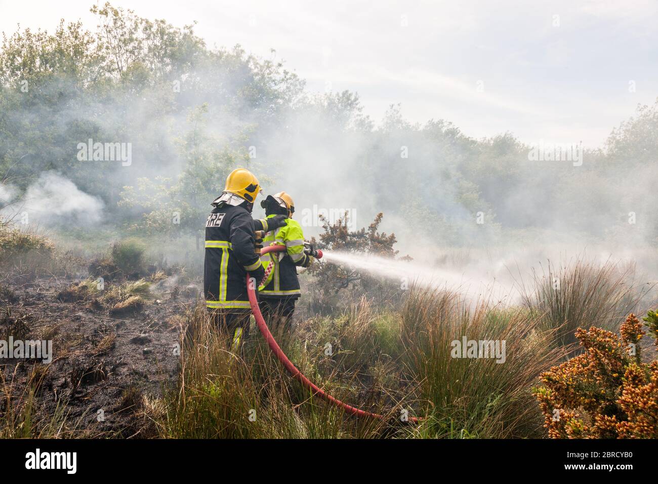 Carrigaline, Cork, Irlanda. 20 Maggio 2020. Due unità della brigata antincendio spengono un incendio di gola che si è svolto su un terreno di rifiuti fuori della città di Carrigaline, Co. Cork, Irlanda. - credito; David Creedon / Alamy Live News Foto Stock