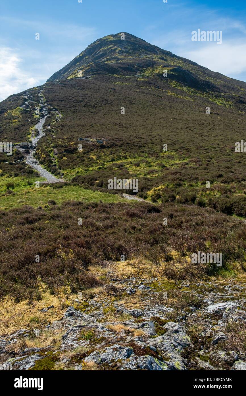 Ullock Pike Ridge attraverso Carl Side fino a Skiddaw Summit Foto Stock