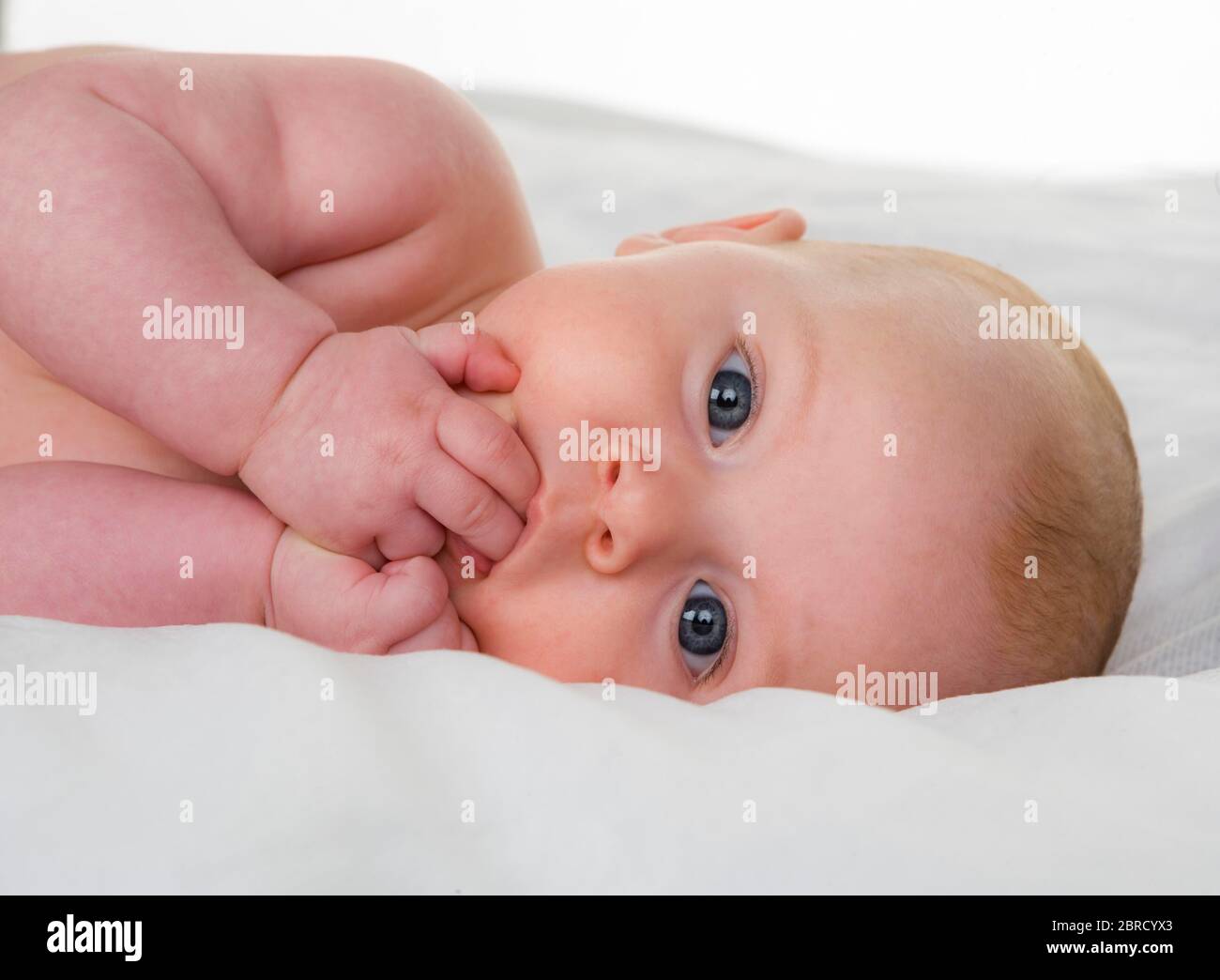 Bambino sdraiato su una coperta bianca, Ritratto, Austria Foto Stock