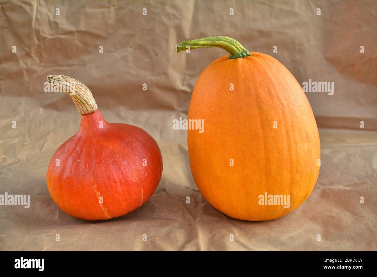 Due zucche arancioni su sfondo di carta Foto Stock