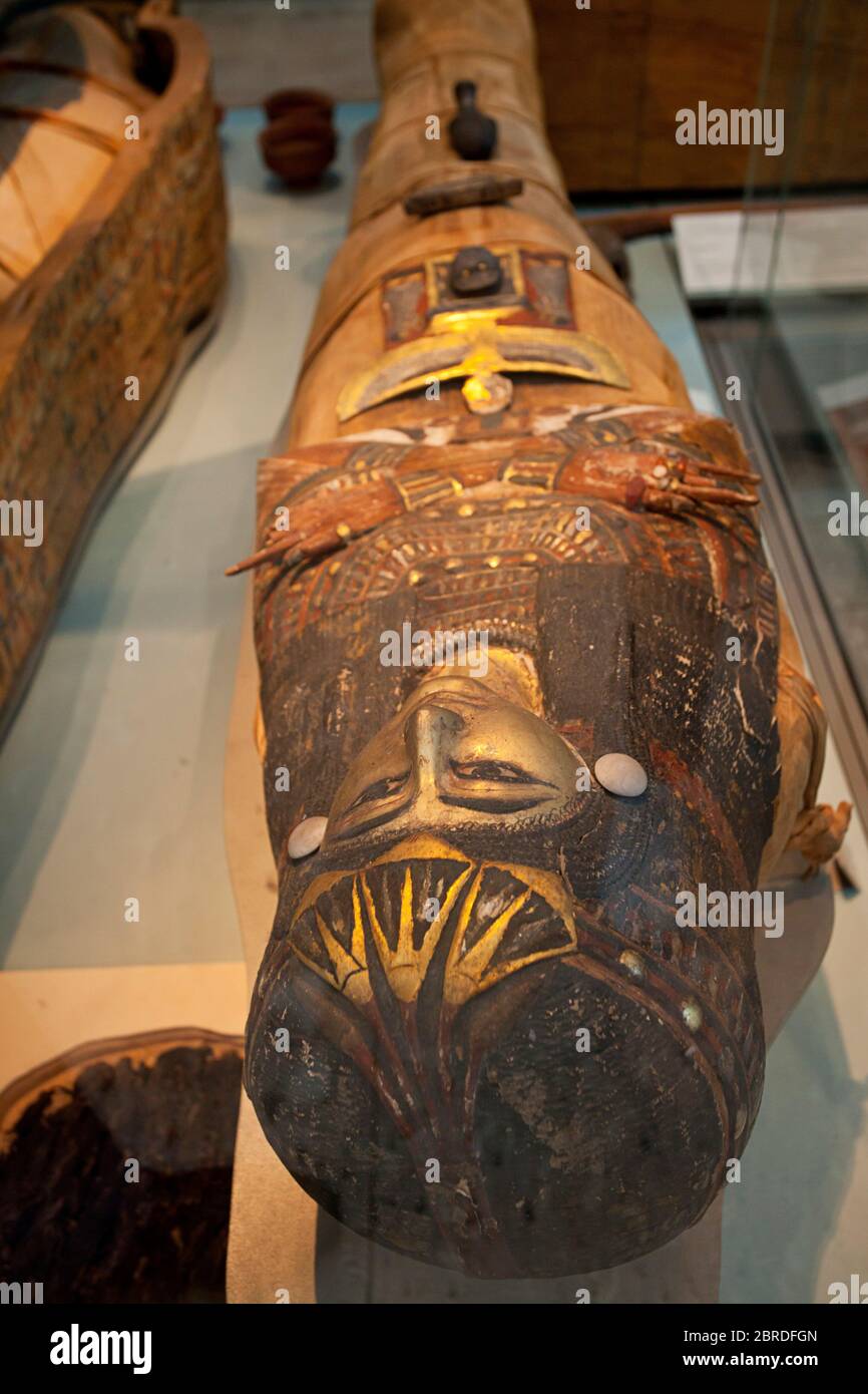 Mummie esposte al British Museum Foto Stock