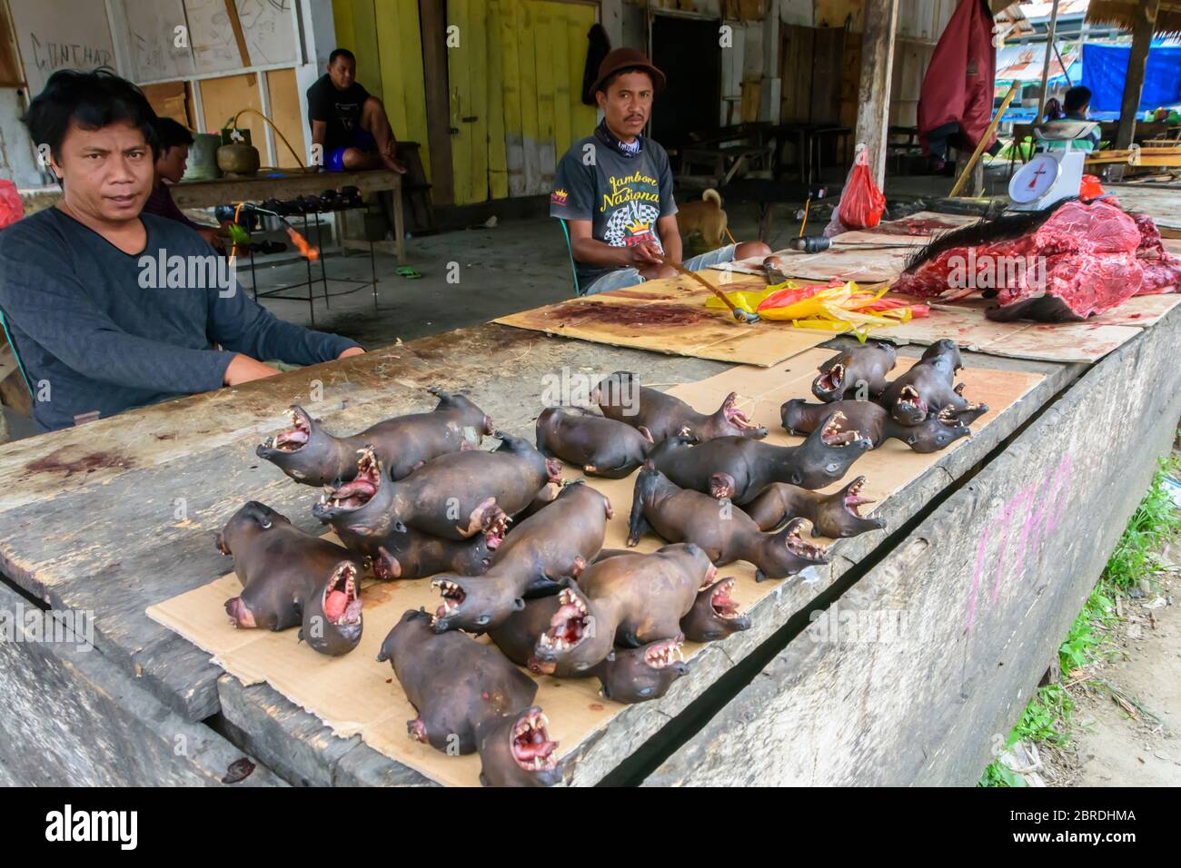 Carni di boscaglia (volpi volanti) sul mercato centrale di Tentena, Sulawesi Centrale, Indonesia Foto Stock