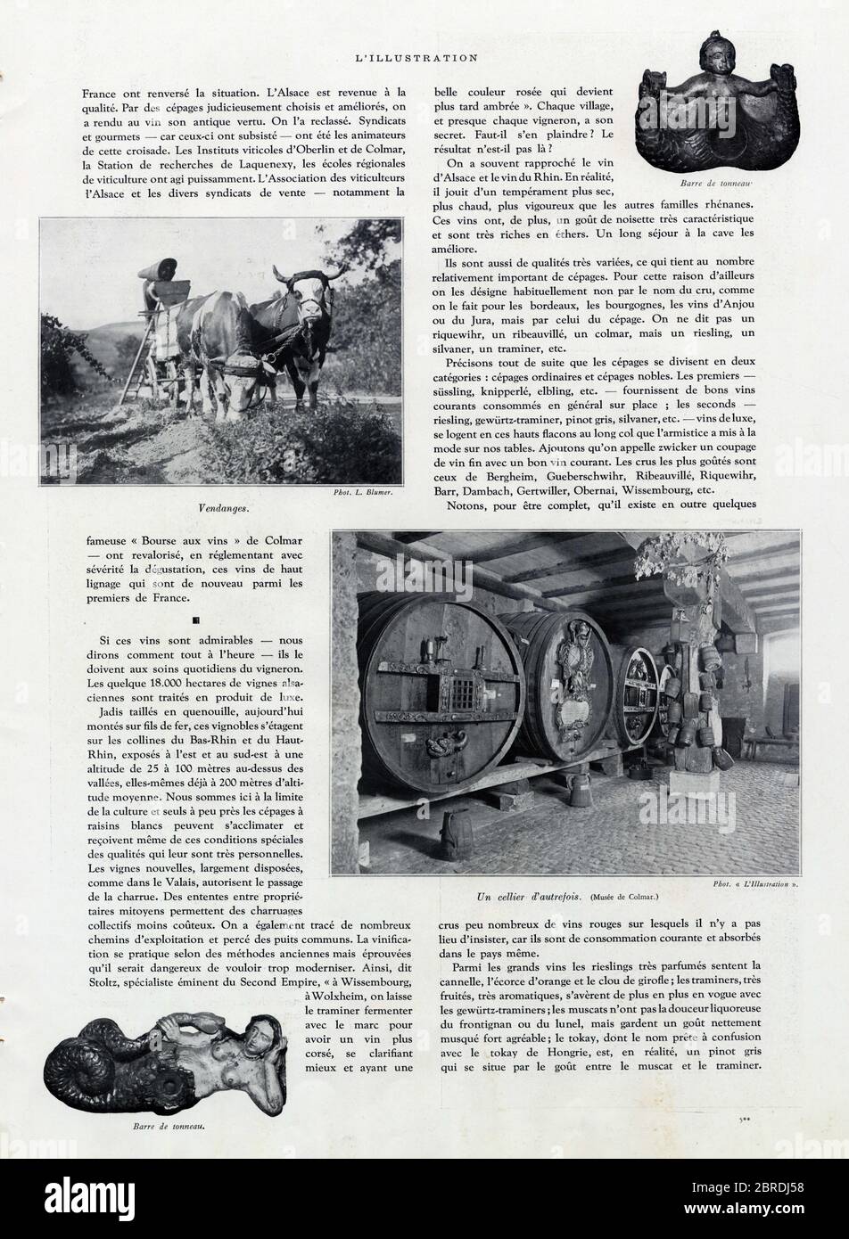 Paysages d'Alsace. Distributori automatici. Barre de tonneau. Un cellier d'autrefois. 1936 Foto Stock