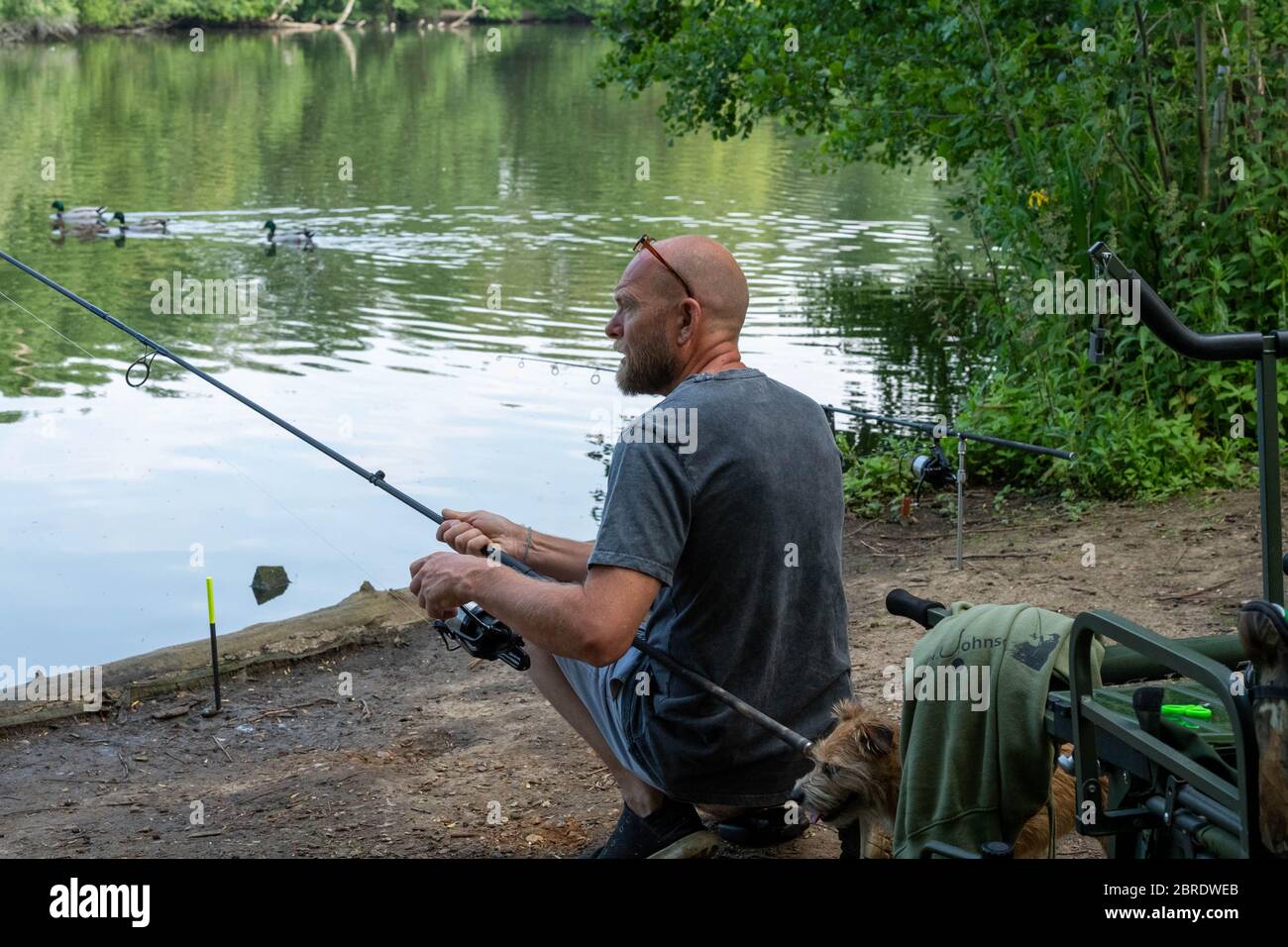 Brentwood Essex 21 maggio 2020 Essex Country Parks aperti al pubblico per la prima volta dall'inizio della chiusura. North Weald Country Park, Brentwood Essex Angler and anatks, Credit: Ian Davidson/Alamy Live News Foto Stock