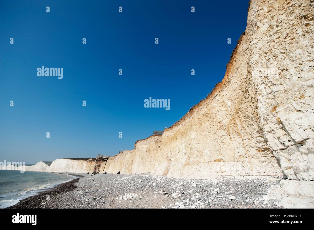 Erose scogliere verticali di gesso a Birling Gap vicino Beachy Head nel Sussex orientale che domina la Manica, Sussex orientale, Inghilterra, Regno Unito Foto Stock