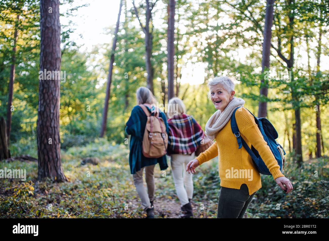 Donne anziane amici che camminano all'aperto nella foresta. Foto Stock