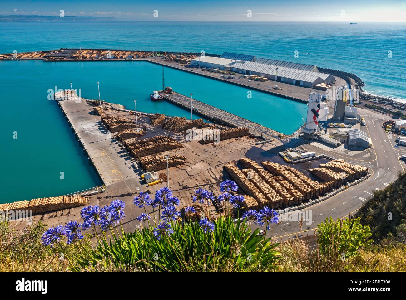 Grandi pile di tronchi di legno tagliato, a Port of Napier, vista da Bluff Hill Lookout, a Napier, Hawke's Bay Region, North Island, Nuova Zelanda Foto Stock