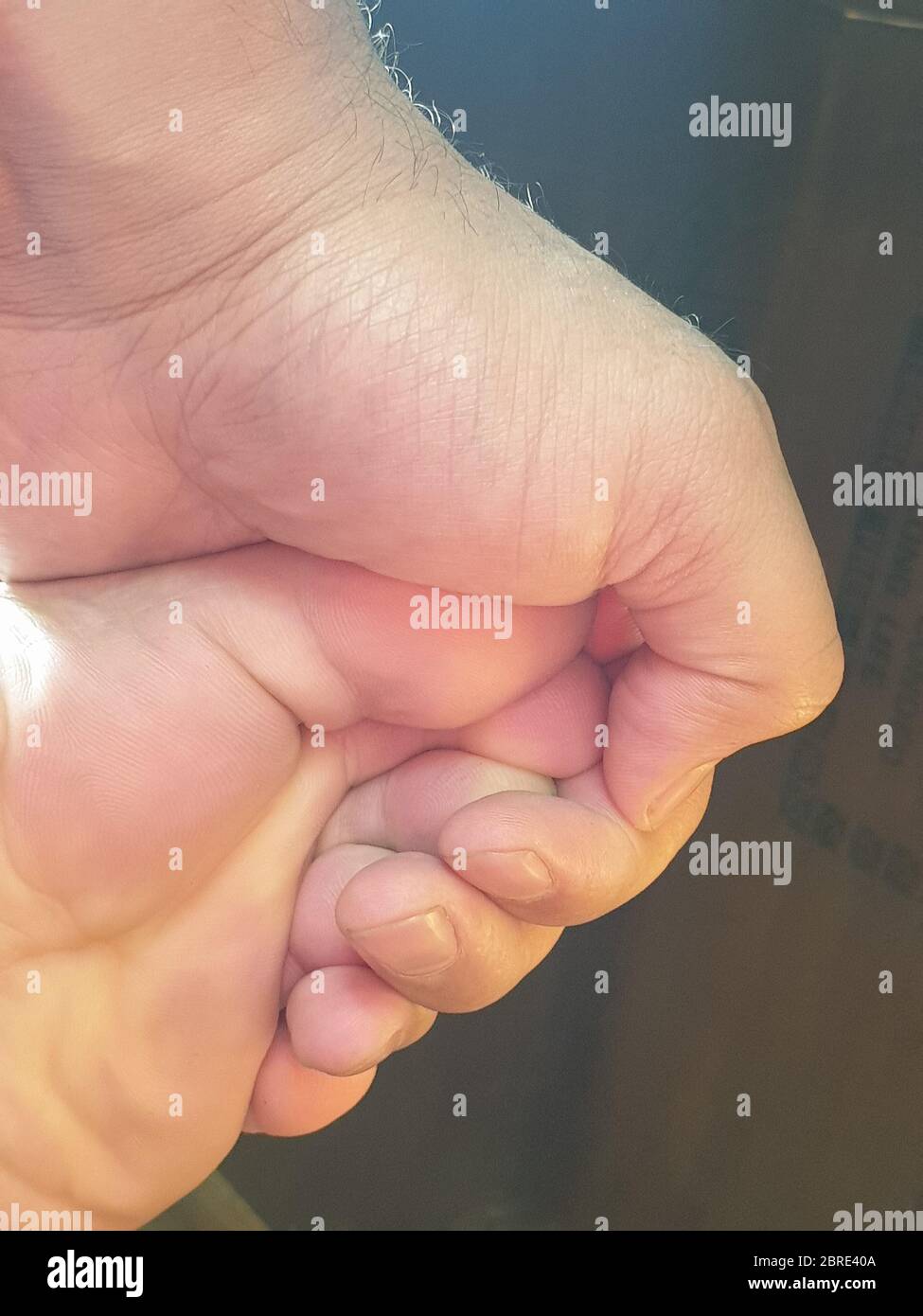 Parti del nostro corpo i capretti le parti del corpo hanno bisogno del sangue per funzionare correttamente - il sangue trasporta le sostanze nutrienti .le parti del corpo umano di alta definizione. Foto Stock