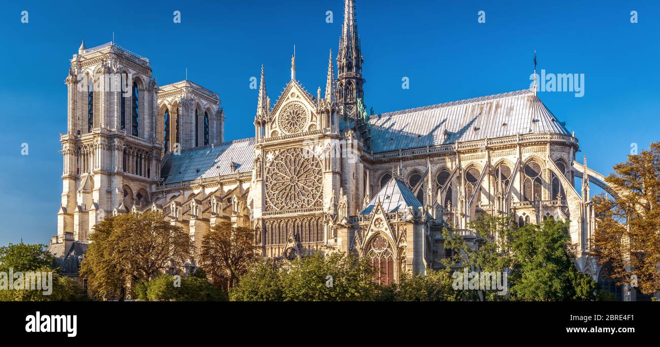 Notre Dame de Paris in estate, Francia. E' uno dei principali punti di riferimento di Parigi. Panorama panoramico della cattedrale di Notre Dame su un argine nel Pa Foto Stock