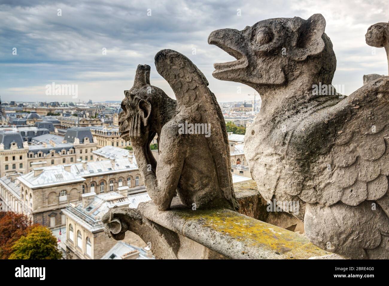Chimere (doccioni della cattedrale di Notre Dame de Paris con vista su Parigi, Francia Foto Stock