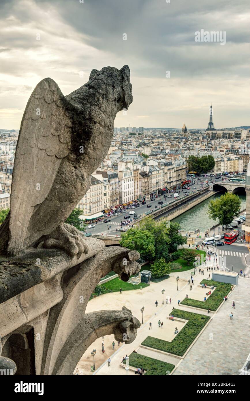 Chimera (gargoyle) della Cattedrale di Notre Dame de Paris che si affaccia sulla Torre Eiffel a Parigi, Francia Foto Stock