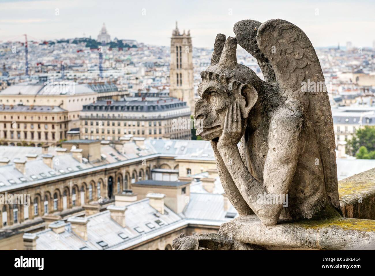 Chimera (gargoyle) della cattedrale di Notre Dame de Paris con vista su Parigi, Francia Foto Stock
