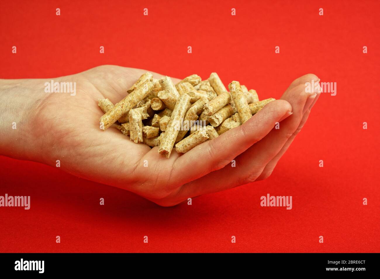 Pellets di legno per riscaldamento nel palmo di una mano Foto Stock