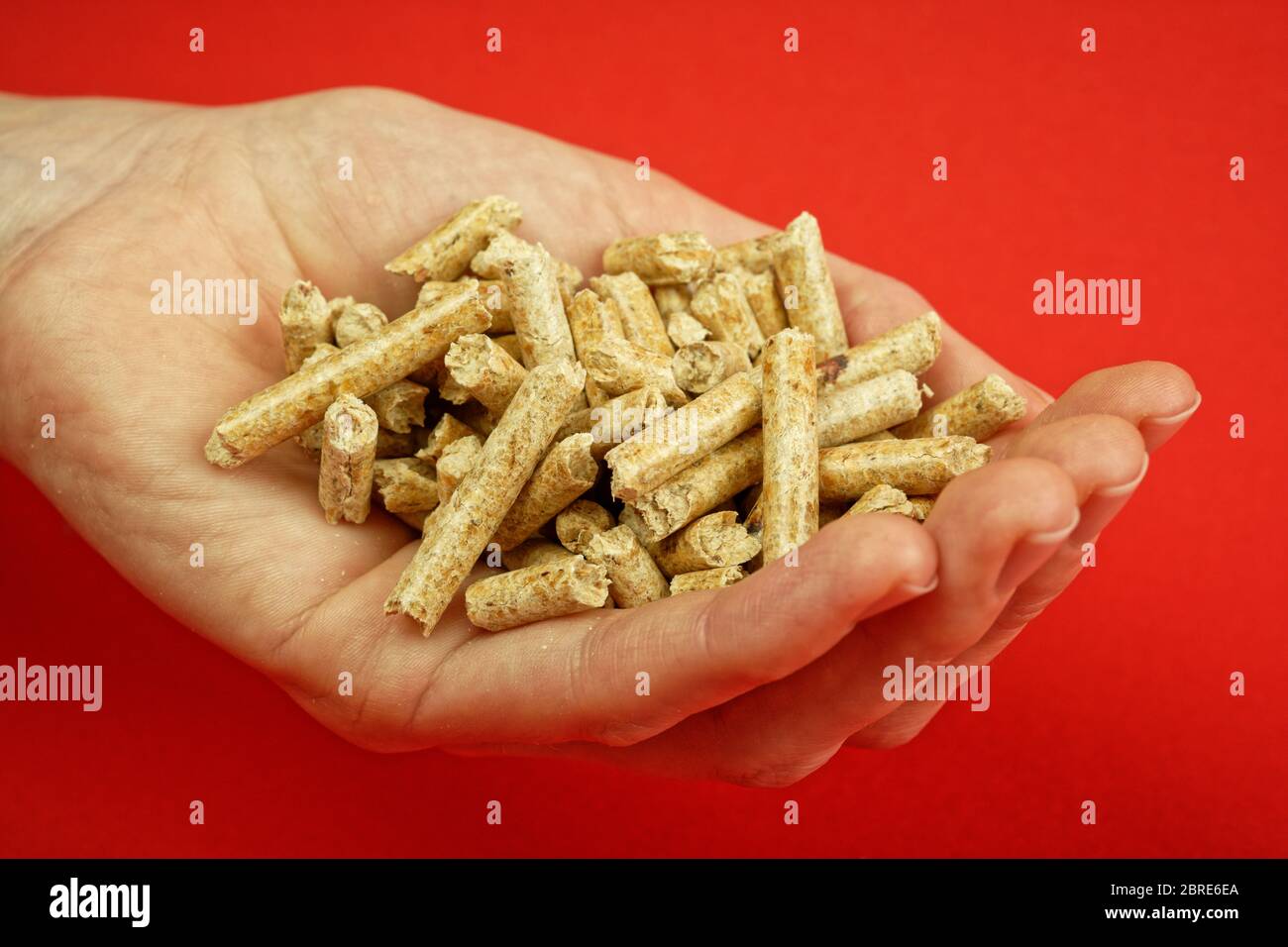 Pellets di legno per riscaldamento nel palmo di una mano Foto Stock