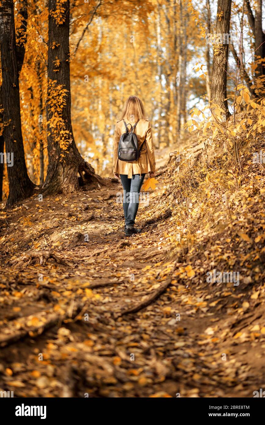 Donna in autunno parco, vista posteriore. La ragazza adulta cammina sul  sentiero nella foresta autunnale da sola. Donna giovane solitaria con zaino  in giacca o cappotto autunnale. Il "sistema Foto stock -