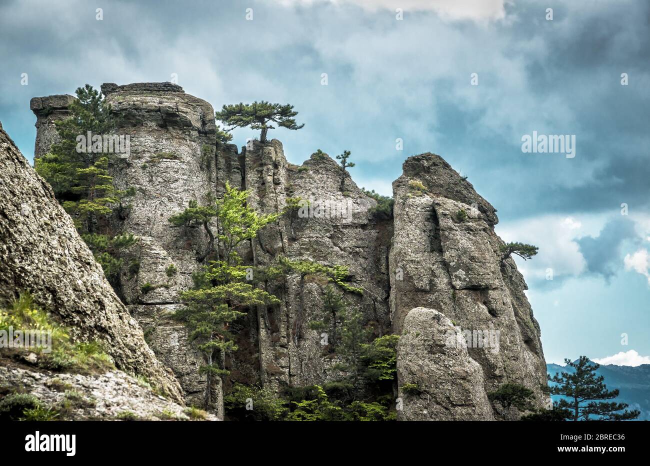 Alberi su una roccia nella montagna Demerdji. Paesaggio di Crimea, Russia. Foto Stock