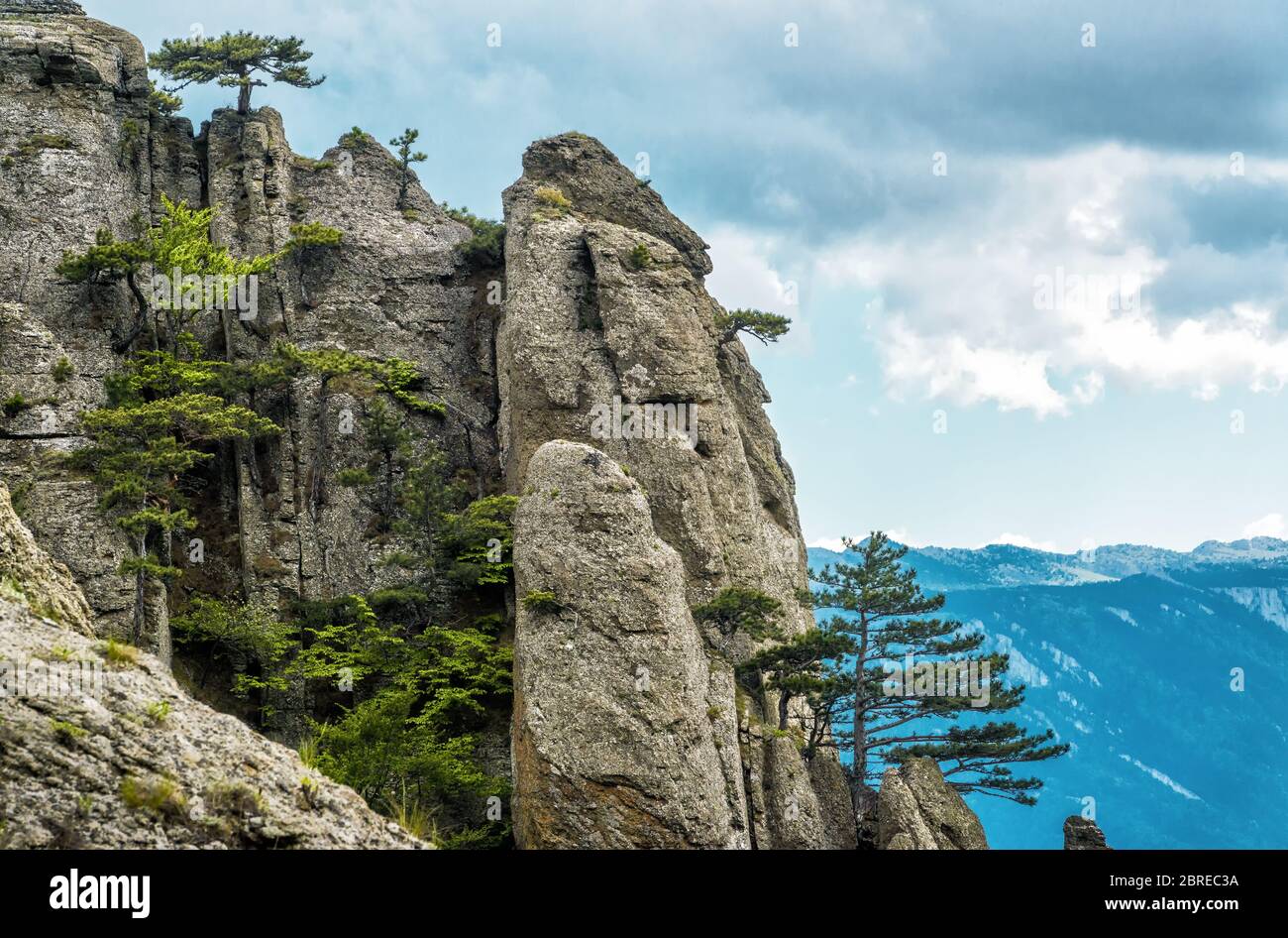 Alberi su una roccia nella montagna Demerdji. Paesaggio di Crimea, Russia. Foto Stock