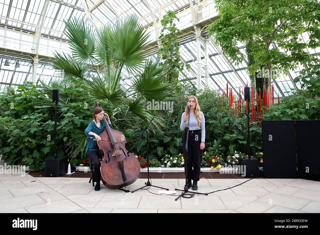 Dale Chihuly, artista di Seattle, ha esposto le sue opere d'arte in vetro originali e luminose in uno dei paesaggi più belli di Londra, Kew Gardens. Guarda le sue creazioni illuminare la notte in un connubio ipnotico di arte, scienza e natura. Chihuly Nights offre un'opportunità unica per passeggiare attraverso i Kew Gardens dopo che il sole è tramontato sotto lo skyline di Londra, ammirando le opere di un artista iconico e in-demand. Famosa in tutto il mondo per le sue scintillanti sculture in vetro colorato, l'opera di Chihuly è stata esposta in centinaia di musei e gallerie in tutto il mondo. Foto Stock