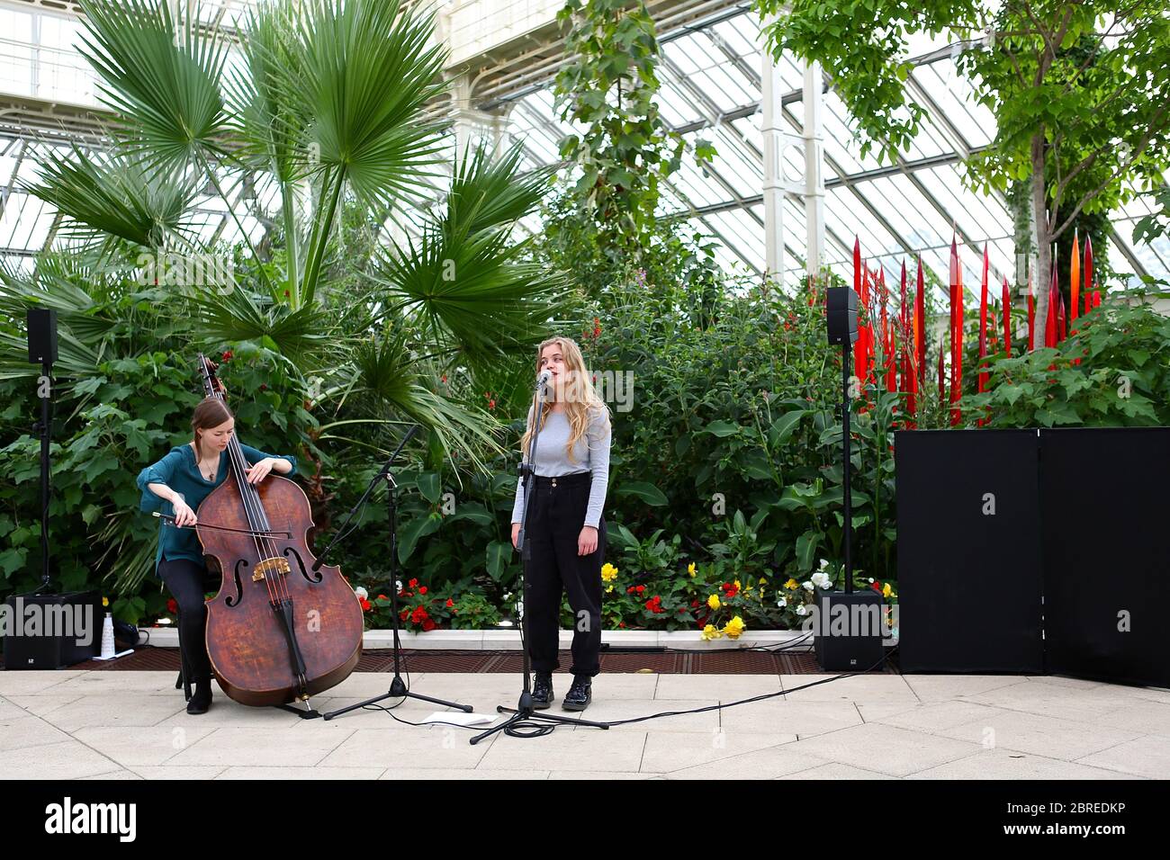 Dale Chihuly, artista di Seattle, ha esposto le sue opere d'arte in vetro originali e luminose in uno dei paesaggi più belli di Londra, Kew Gardens. Guarda le sue creazioni illuminare la notte in un connubio ipnotico di arte, scienza e natura. Chihuly Nights offre un'opportunità unica per passeggiare attraverso i Kew Gardens dopo che il sole è tramontato sotto lo skyline di Londra, ammirando le opere di un artista iconico e in-demand. Famosa in tutto il mondo per le sue scintillanti sculture in vetro colorato, l'opera di Chihuly è stata esposta in centinaia di musei e gallerie in tutto il mondo. Foto Stock