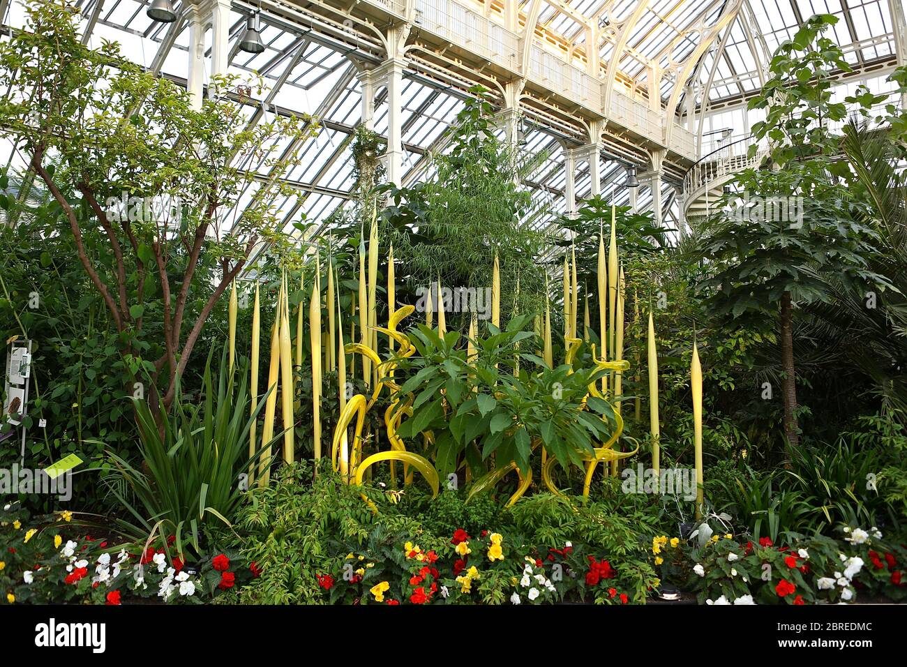 Dale Chihuly, artista di Seattle, ha esposto le sue opere d'arte in vetro originali e luminose in uno dei paesaggi più belli di Londra, Kew Gardens. Guarda le sue creazioni illuminare la notte in un connubio ipnotico di arte, scienza e natura. Chihuly Nights offre un'opportunità unica per passeggiare attraverso i Kew Gardens dopo che il sole è tramontato sotto lo skyline di Londra, ammirando le opere di un artista iconico e in-demand. Famosa in tutto il mondo per le sue scintillanti sculture in vetro colorato, l'opera di Chihuly è stata esposta in centinaia di musei e gallerie in tutto il mondo. Foto Stock