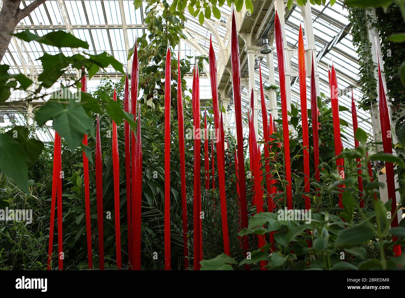 Dale Chihuly, artista di Seattle, ha esposto le sue opere d'arte in vetro originali e luminose in uno dei paesaggi più belli di Londra, Kew Gardens. Guarda le sue creazioni illuminare la notte in un connubio ipnotico di arte, scienza e natura. Chihuly Nights offre un'opportunità unica per passeggiare attraverso i Kew Gardens dopo che il sole è tramontato sotto lo skyline di Londra, ammirando le opere di un artista iconico e in-demand. Famosa in tutto il mondo per le sue scintillanti sculture in vetro colorato, l'opera di Chihuly è stata esposta in centinaia di musei e gallerie in tutto il mondo. Foto Stock