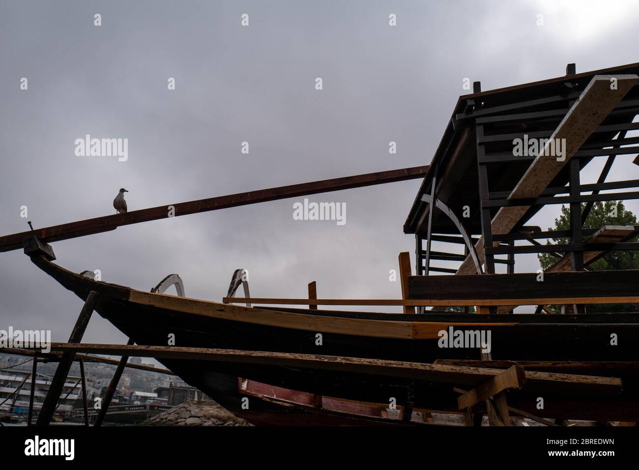 Europa, Portogallo, Porto. Gabbiani arroccati su un palo di barca sopra il Douro a Porto. Foto Stock
