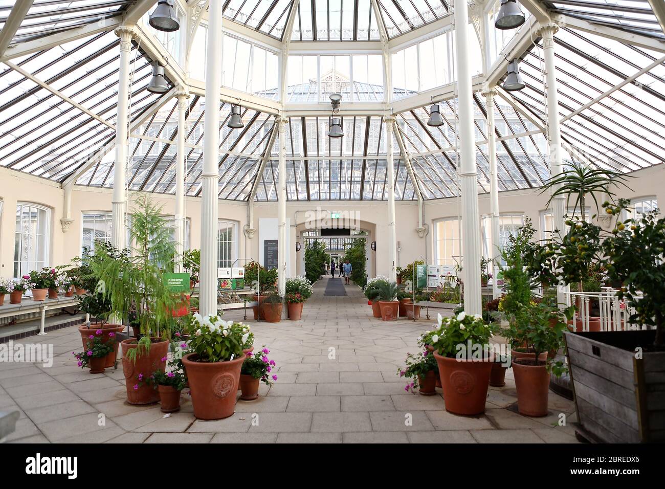 Dale Chihuly, artista di Seattle, ha esposto le sue opere d'arte in vetro originali e luminose in uno dei paesaggi più belli di Londra, Kew Gardens. Guarda le sue creazioni illuminare la notte in un connubio ipnotico di arte, scienza e natura. Chihuly Nights offre un'opportunità unica per passeggiare attraverso i Kew Gardens dopo che il sole è tramontato sotto lo skyline di Londra, ammirando le opere di un artista iconico e in-demand. Famosa in tutto il mondo per le sue scintillanti sculture in vetro colorato, l'opera di Chihuly è stata esposta in centinaia di musei e gallerie in tutto il mondo. Foto Stock