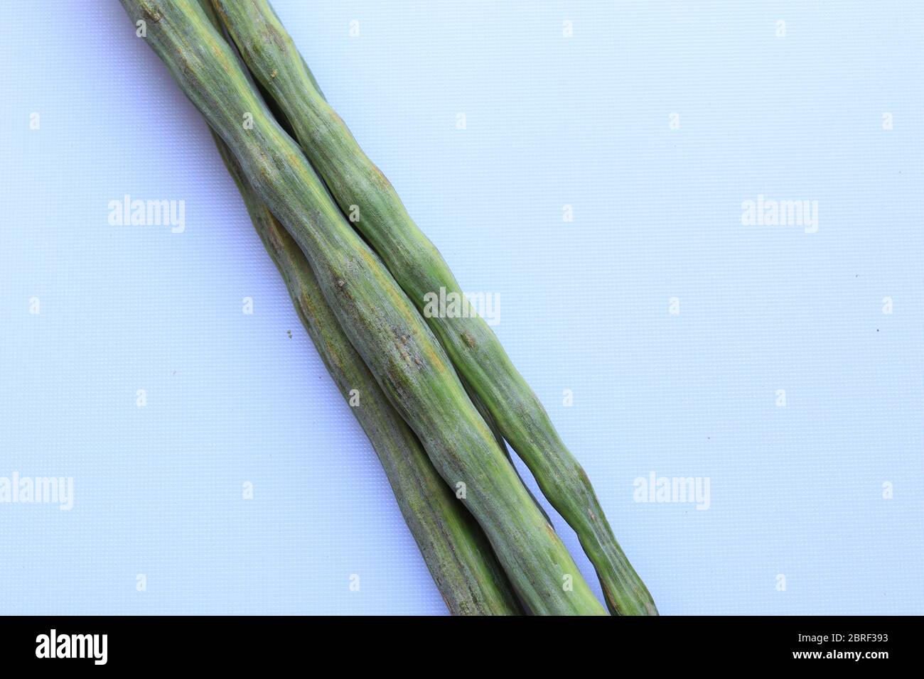 Podi di drumstick o pos di Moringa oleifera vegetali isolati su sfondo bianco Foto Stock