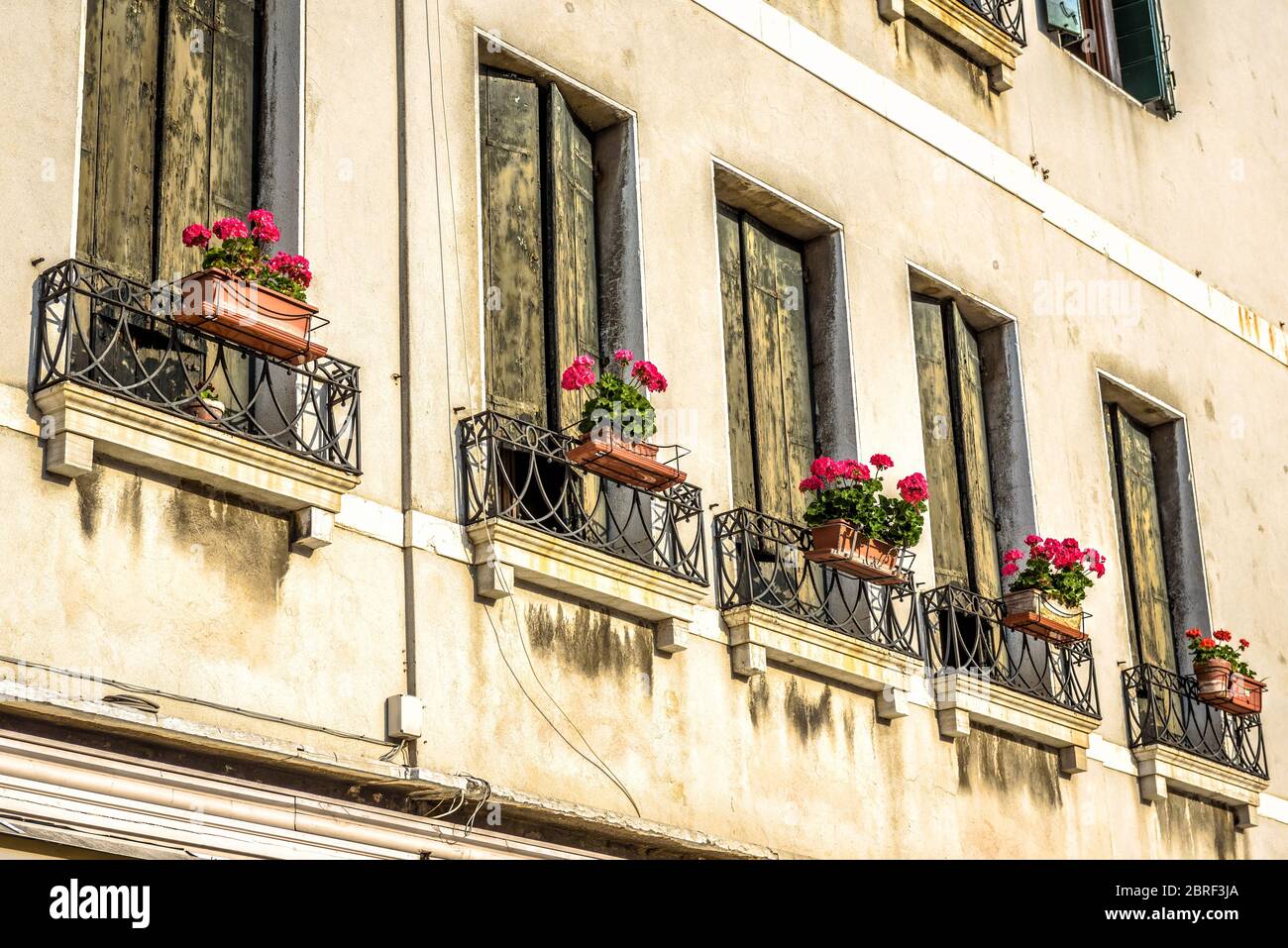 Antica casa con fiori, Venezia, Italia. Finestre di un edificio residenziale o di un hotel con persiane vintage. Muro antico e persiane in legno da vicino. Foto Stock