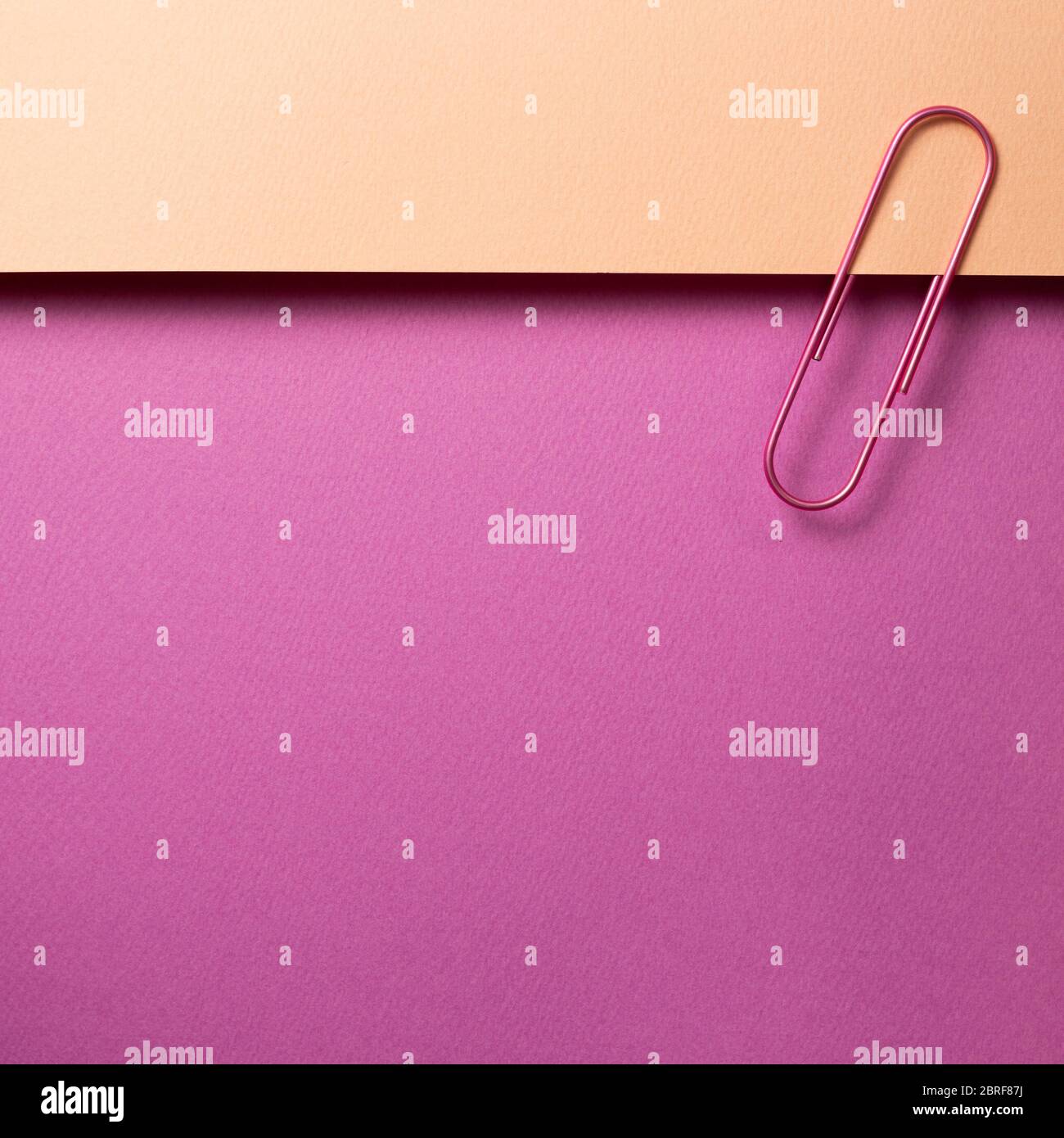 Graffetta di metallo rosa su foglio di carta rosa Foto Stock