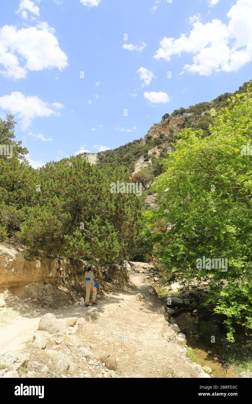 Percorso torista nella famosa località turistica Avakas Gorge su Cipro Foto Stock