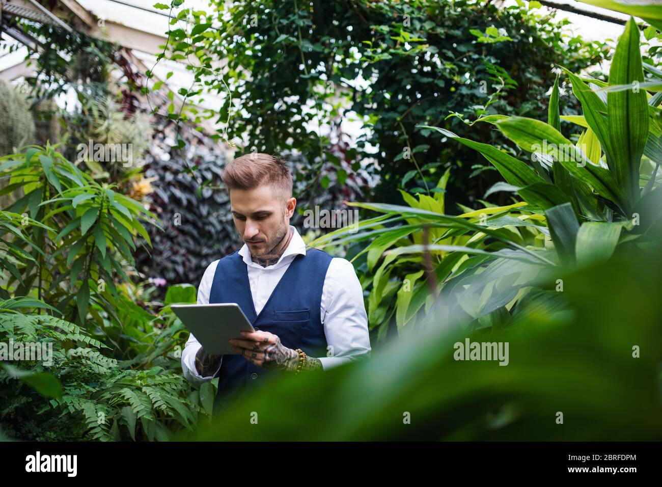 Giovane uomo con tavoletta in piedi in giardino botanico, lavorando. Foto Stock