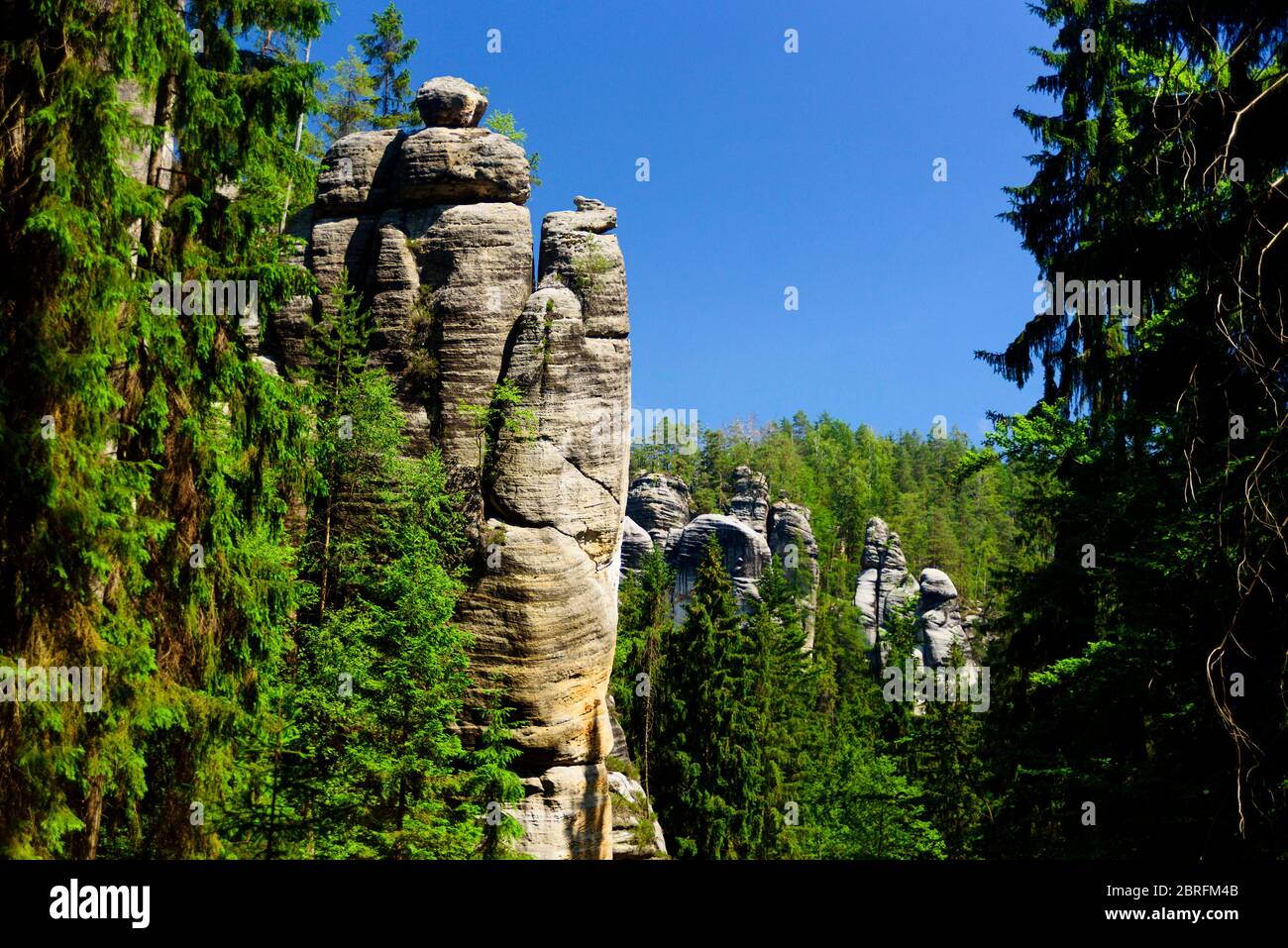 Resti della città di roccia in roccia Adrspach, parte di Adrspach-Teplice landscape park in Repubblica Ceca Foto Stock