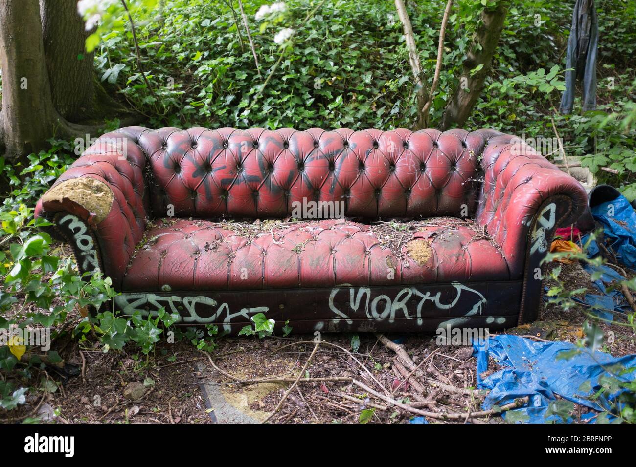 Un vecchio divano in pelle vintage malmenato coperto di graffiti di spraycan abbandonato e gettato in bosco nel nord di Londra Foto Stock