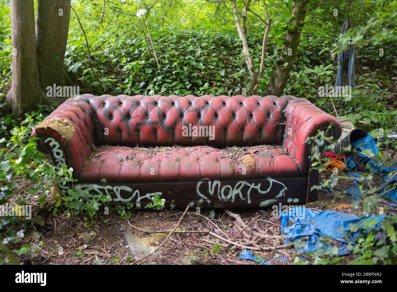 Un vecchio divano in pelle vintage malmenato coperto di graffiti di spraycan abbandonato e gettato in bosco nel nord di Londra Foto Stock