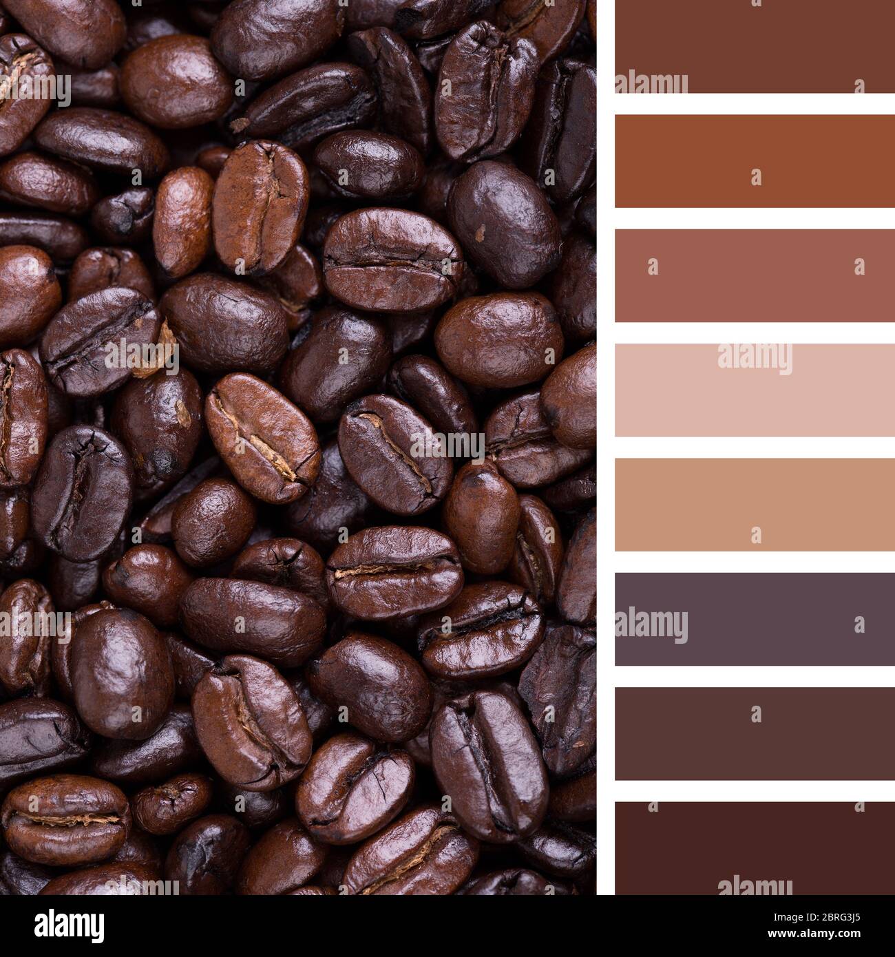 Color caffè immagini e fotografie stock ad alta risoluzione - Alamy