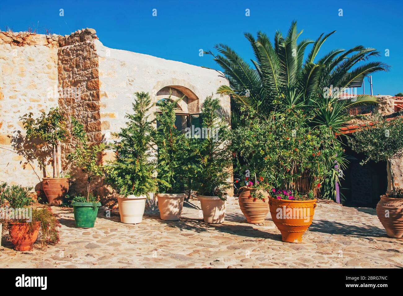 Piante e fiori in pentole all'aperto la vecchia casa. Grecia. Creta. Foto Stock