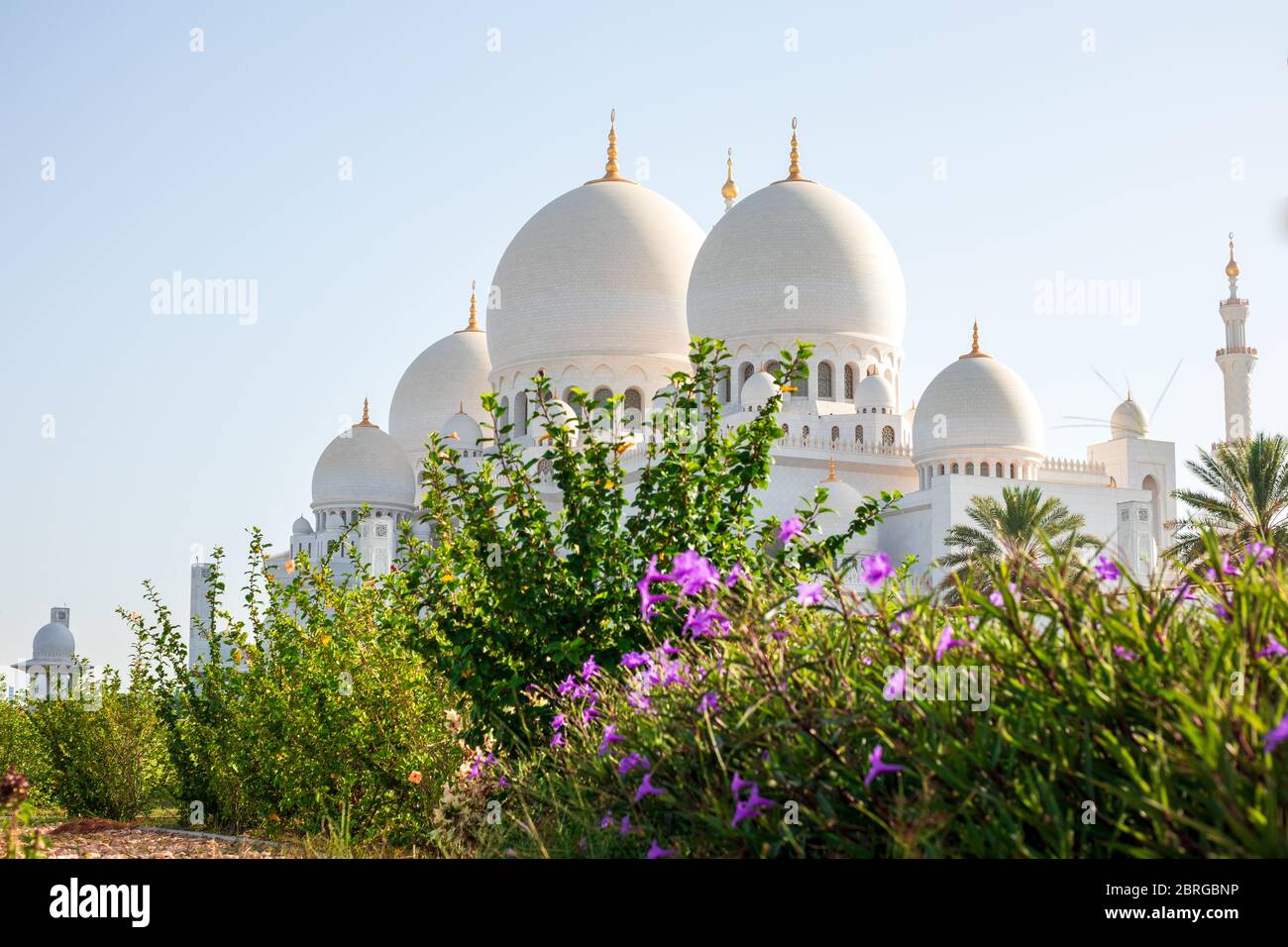 grande moschea sheikh zayed ad abu dhabi, Emirati Arabi Uniti - una delle più belle e grandi moschea, voluta dal defunto presidente sheikh zayed bin sultan al nahyen Foto Stock