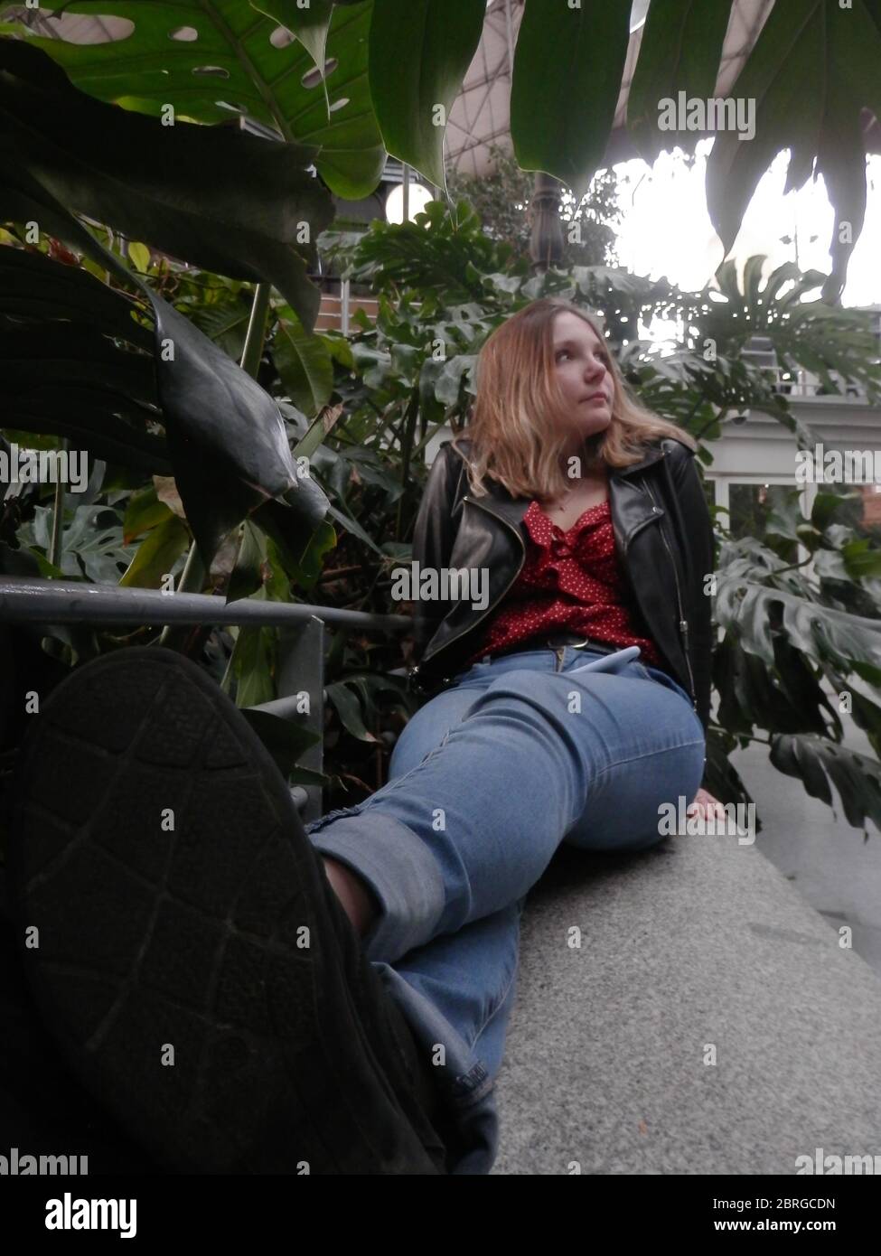 La serra di Atocha Foto Stock