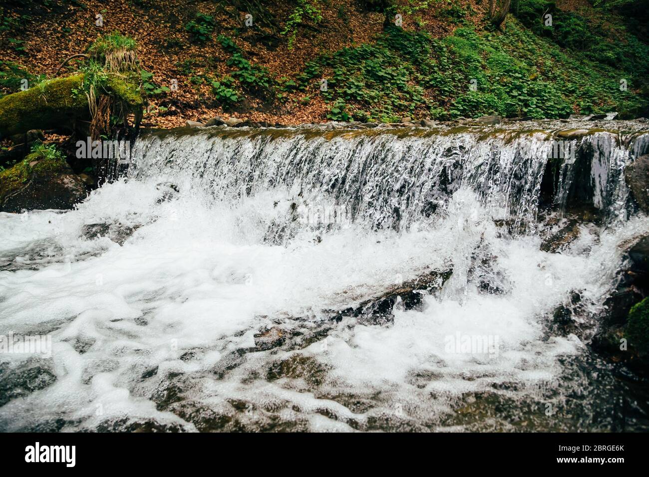 Freddo, fiume di montagna fresco nella foresta dei Monti Carpazi Foto Stock