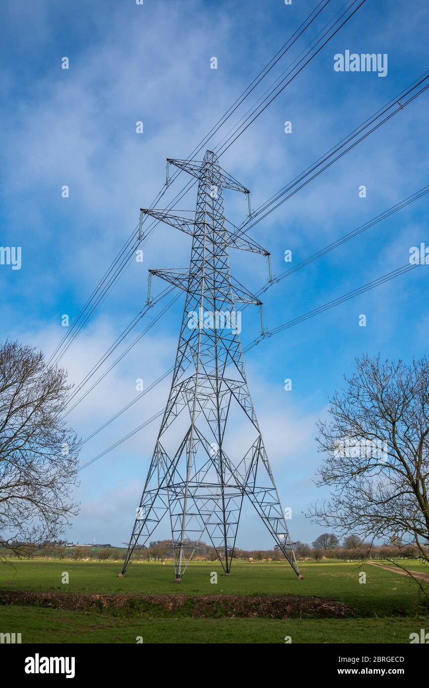 pylons di elettricità in campagna campo agricolo, lancashire, inghilterra, regno unito Foto Stock