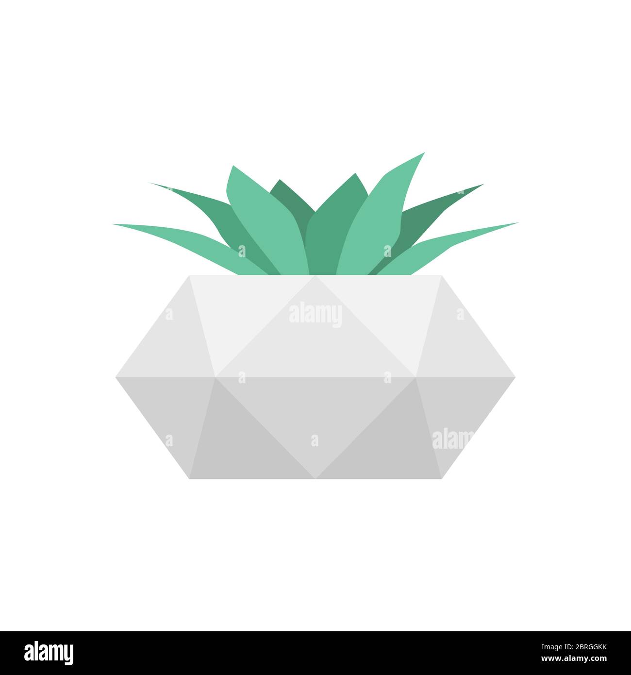 Succulento in cemento geometrico pentola. Vettore isolato fiore trendy Illustrazione Vettoriale