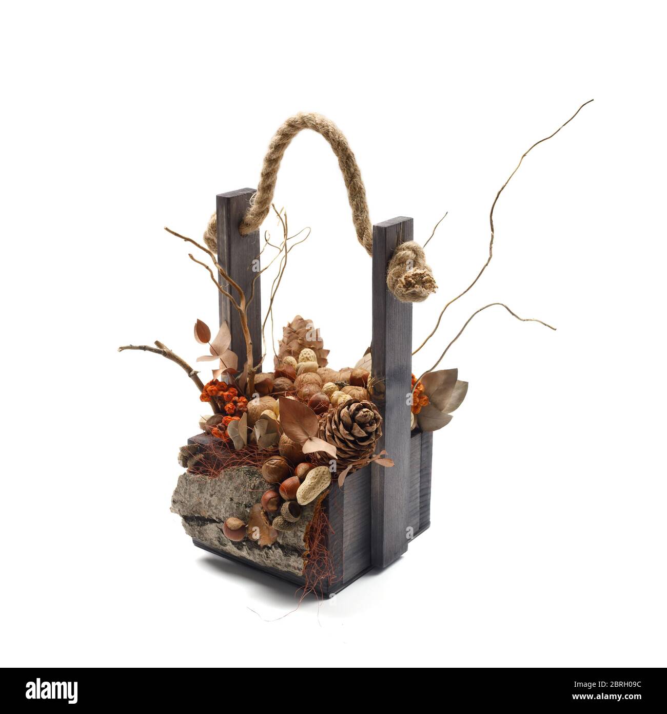 Scatola di legno riempita con rami, foglie secche, bacche d'arancia, noci e coni come composizione decorativa su sfondo bianco. Foto Stock
