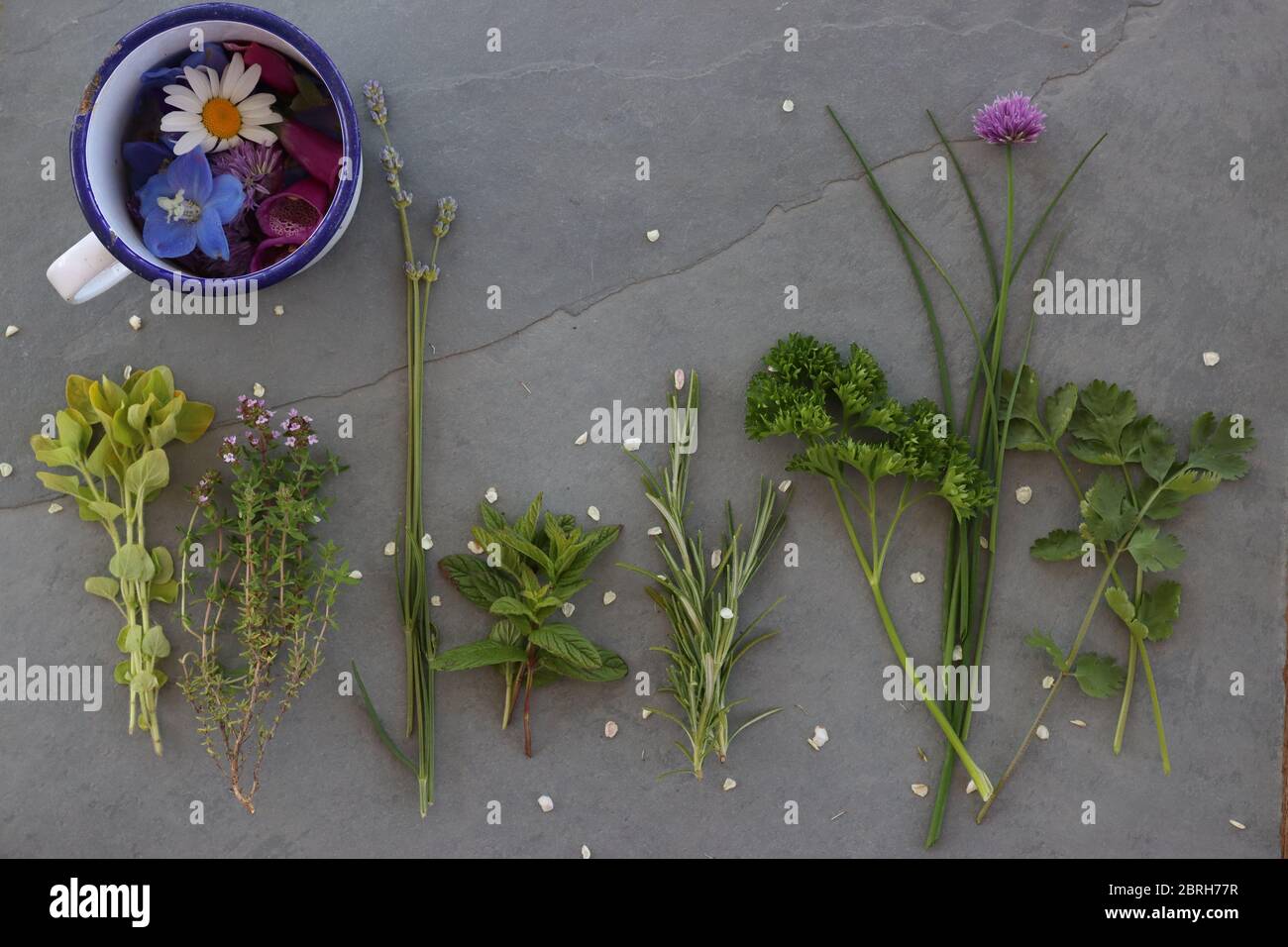 Una linea di erbe inglesi adagiate su un'ardesia con una vecchia tazza di fiori di stagno accanto ad essa Foto Stock