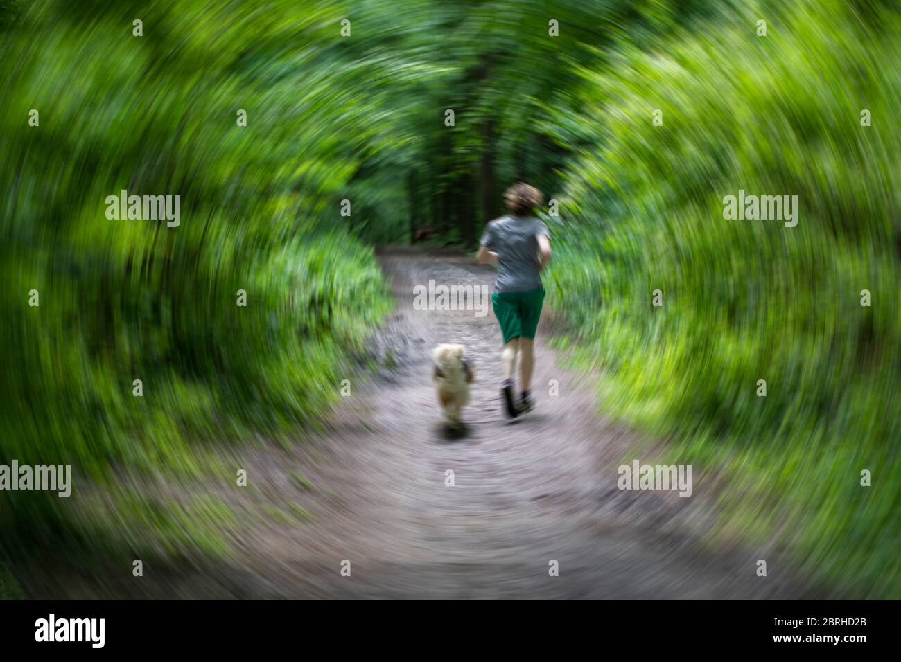 Una foto circolare sfocata di un uomo e di un cane che corrono sul sentiero della foresta Foto Stock